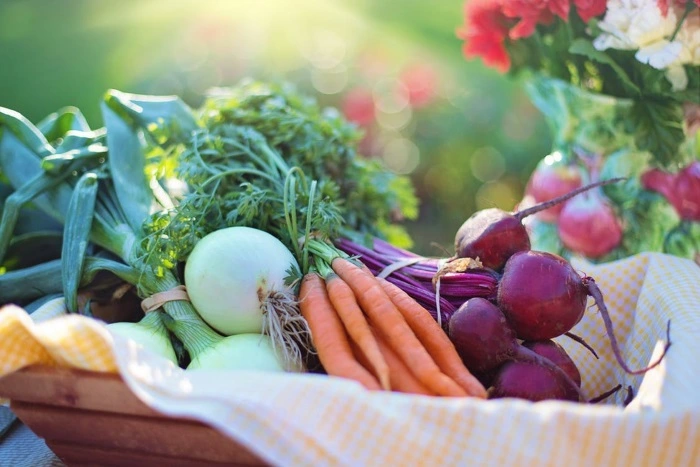 A basket filled with a variety of fresh vegetables, including onions, carrots, beetroots, and corn on the cob, rests on a table with a yellow checkered cloth. The basket is set against a soft-focused garden background with sunlight filtering through, highlighting the vibrant colors of the produce and surrounding flora.